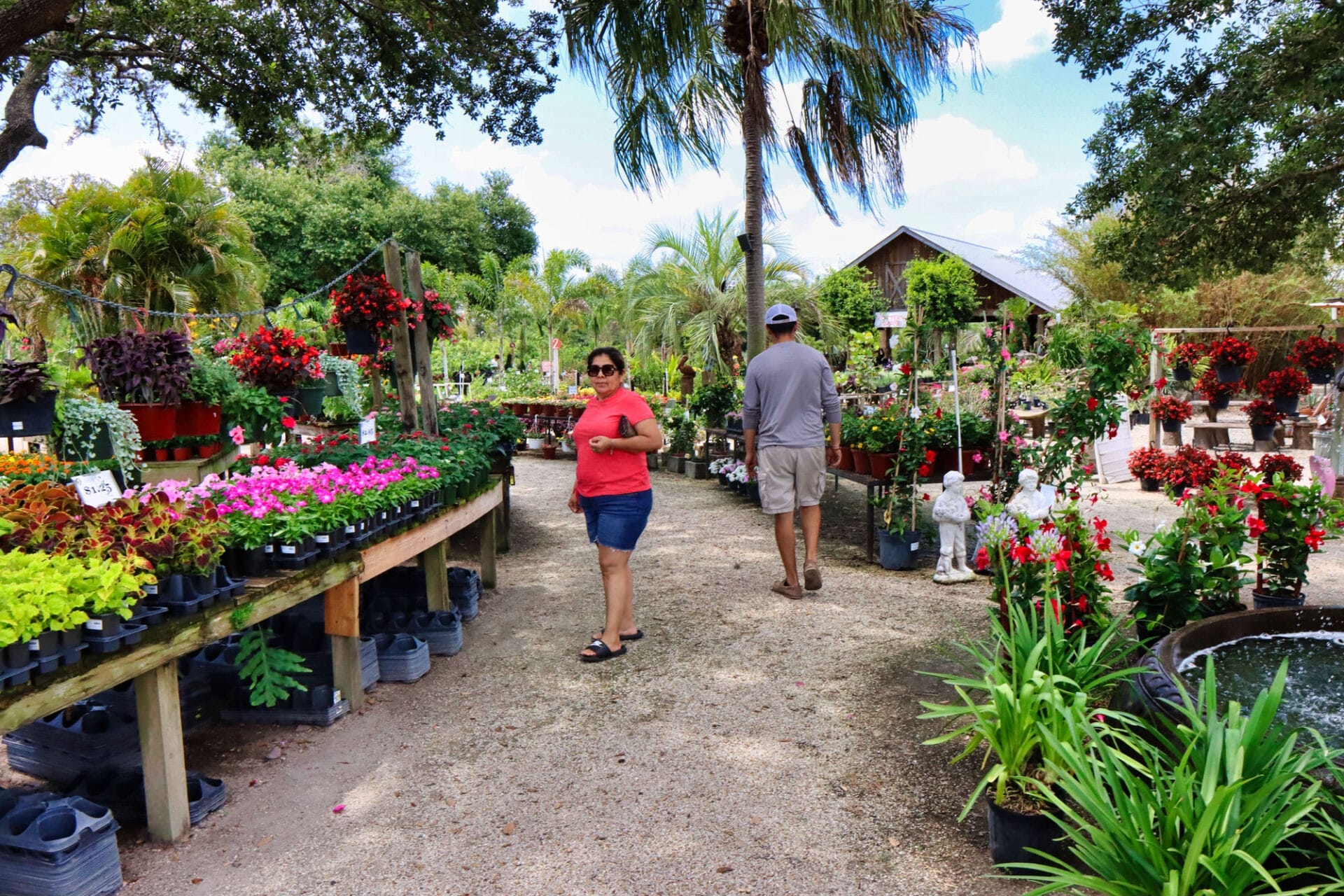 Gallery Robbins Nursery Sebring, FL